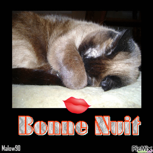 Résultat de recherche d'images pour "je suis naze"